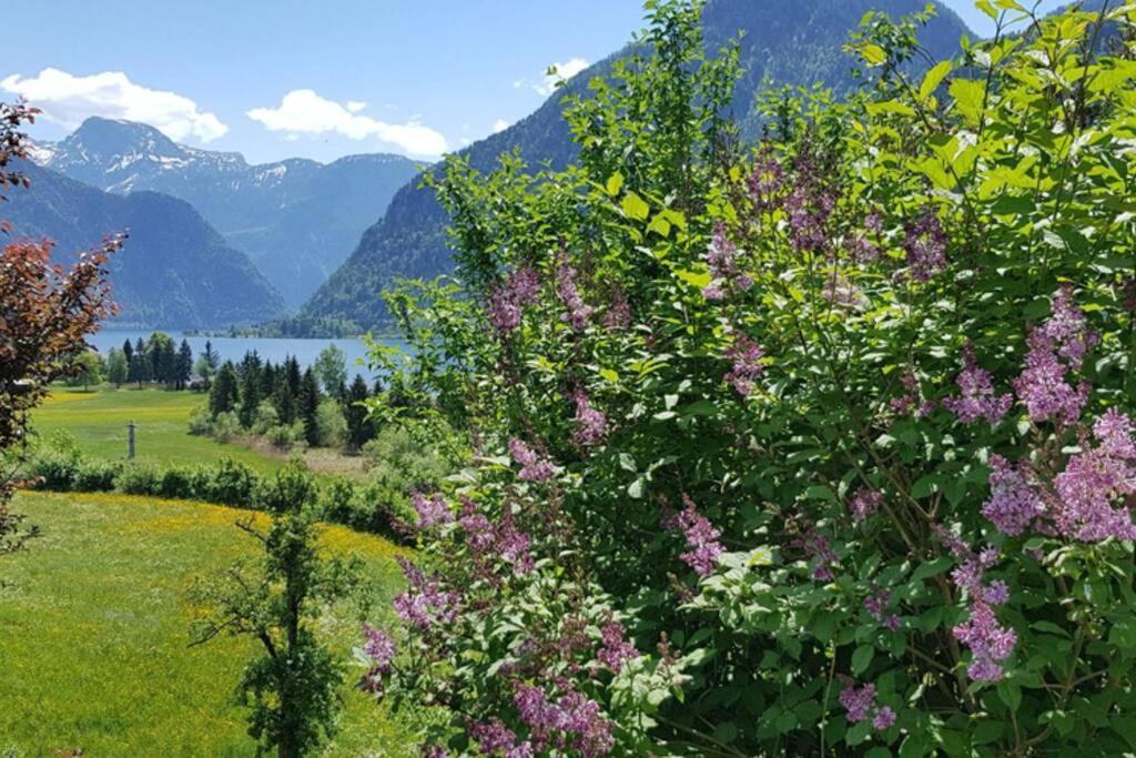 Ferienhaus Kopriwa Bad Goisern Luaran gambar
